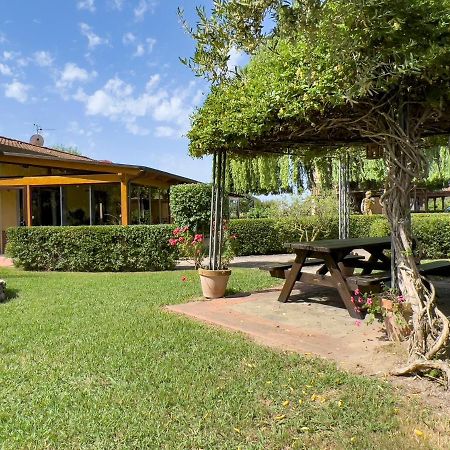 Agriturismo Terra Di Elea Azienda Agricola Di Raimondo Michela Ascea Exteriör bild