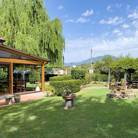Agriturismo Terra Di Elea Azienda Agricola Di Raimondo Michela Ascea Exteriör bild