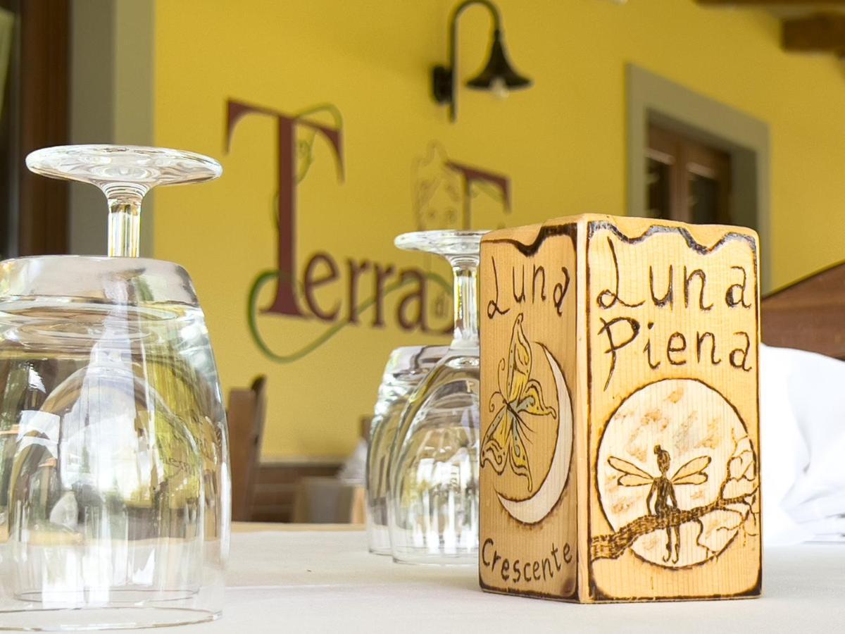 Agriturismo Terra Di Elea Azienda Agricola Di Raimondo Michela Ascea Exteriör bild