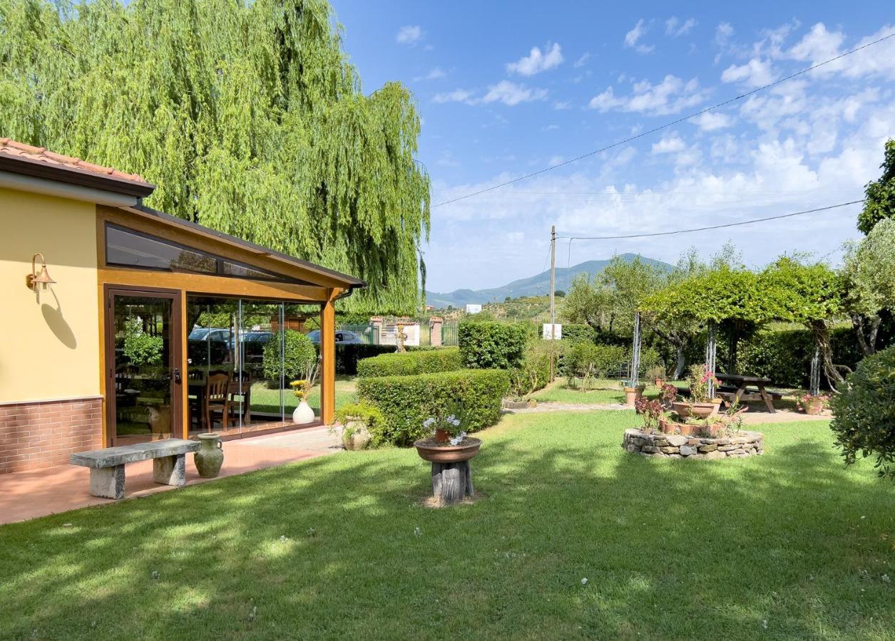 Agriturismo Terra Di Elea Azienda Agricola Di Raimondo Michela Ascea Exteriör bild