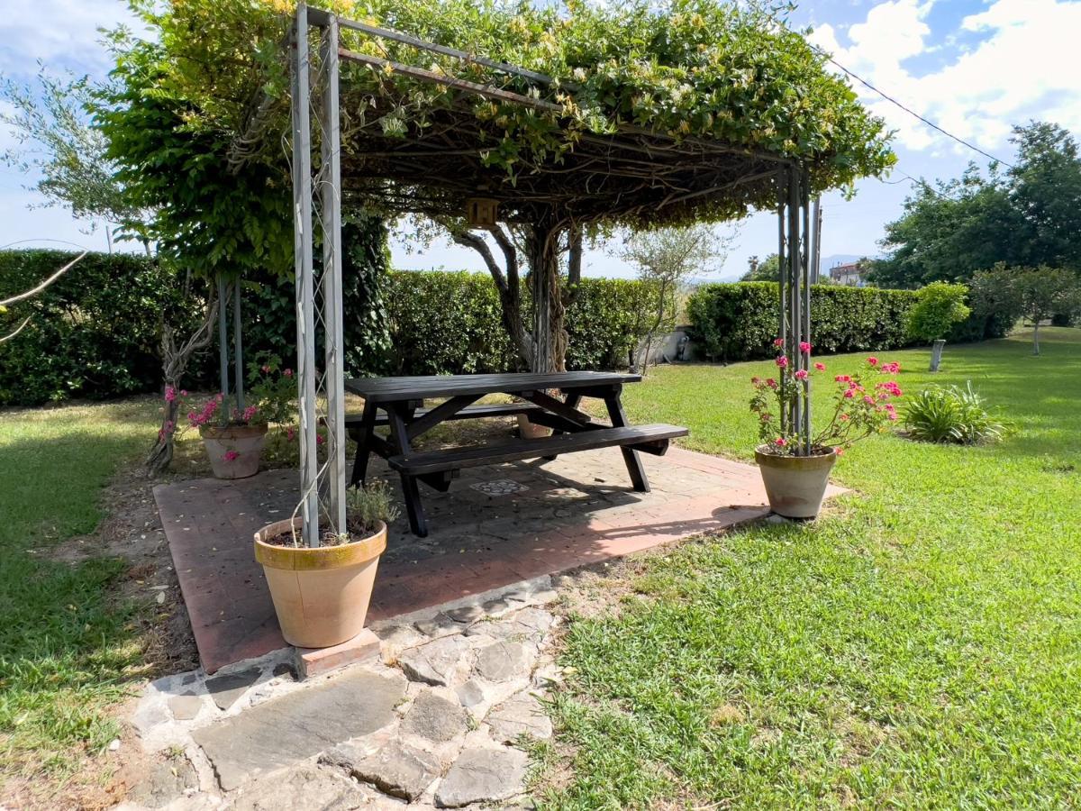 Agriturismo Terra Di Elea Azienda Agricola Di Raimondo Michela Ascea Exteriör bild