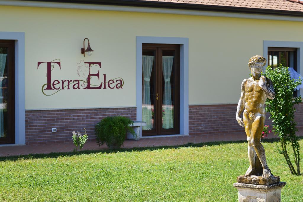 Agriturismo Terra Di Elea Azienda Agricola Di Raimondo Michela Ascea Exteriör bild