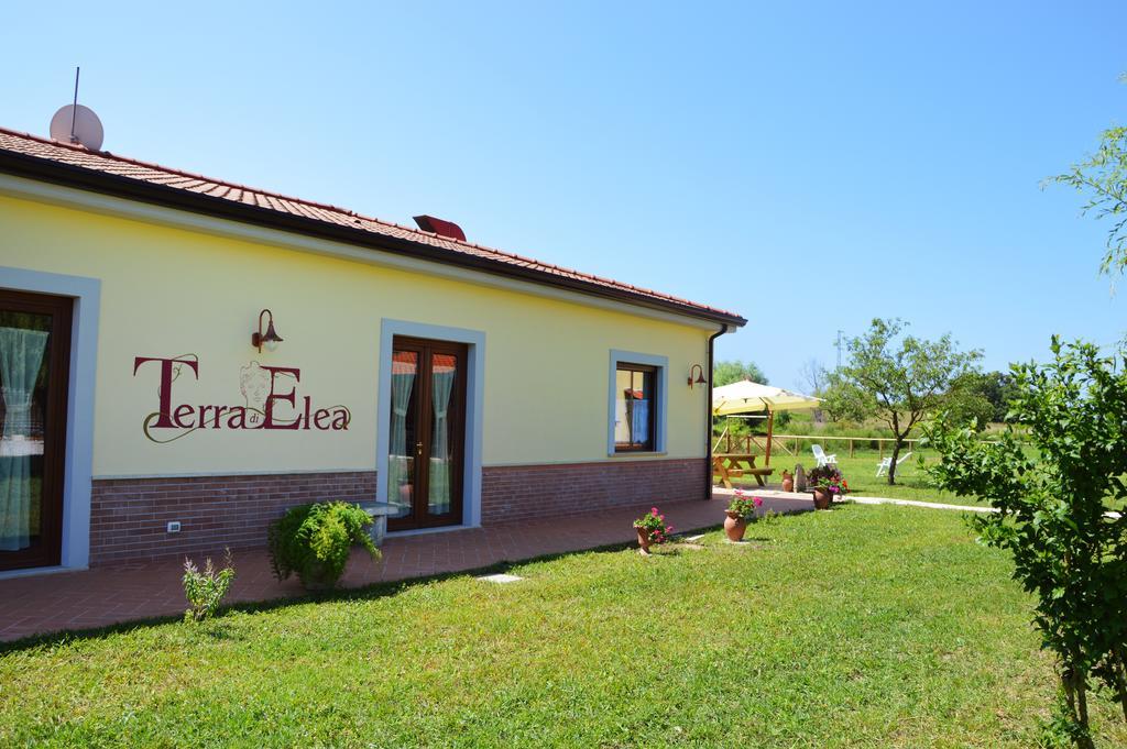 Agriturismo Terra Di Elea Azienda Agricola Di Raimondo Michela Ascea Exteriör bild
