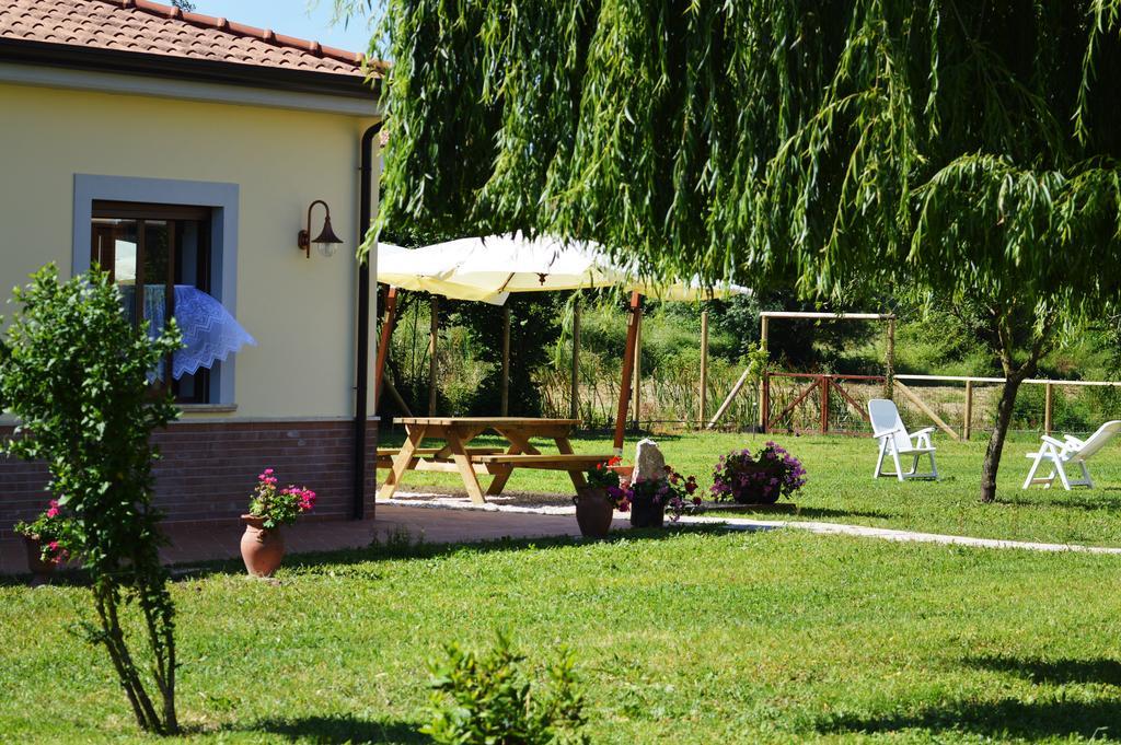 Agriturismo Terra Di Elea Azienda Agricola Di Raimondo Michela Ascea Exteriör bild