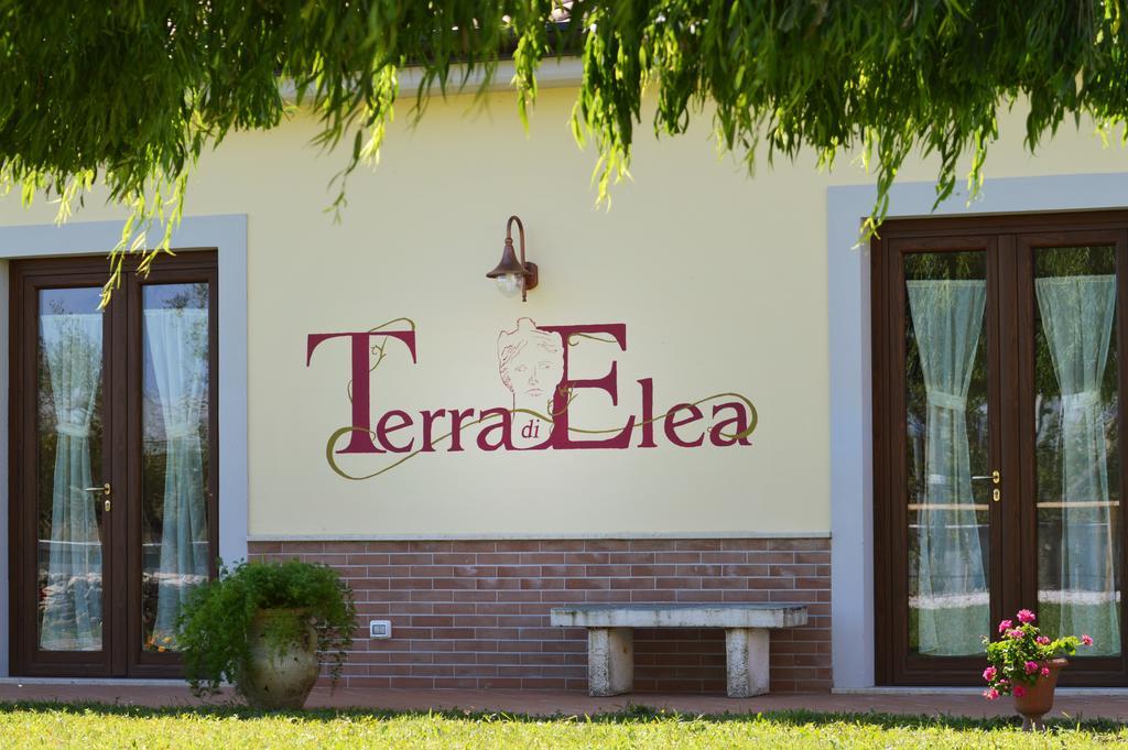 Agriturismo Terra Di Elea Azienda Agricola Di Raimondo Michela Ascea Exteriör bild