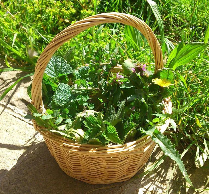 Agriturismo Terra Di Elea Azienda Agricola Di Raimondo Michela Ascea Exteriör bild