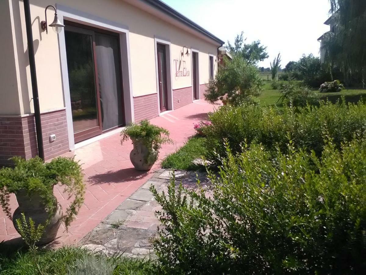 Agriturismo Terra Di Elea Azienda Agricola Di Raimondo Michela Ascea Exteriör bild