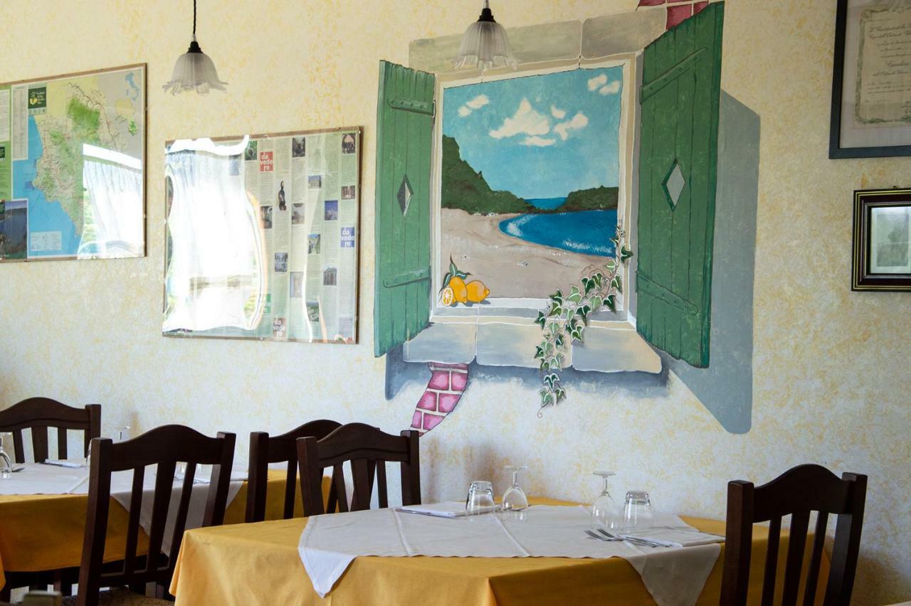 Agriturismo Terra Di Elea Azienda Agricola Di Raimondo Michela Ascea Exteriör bild