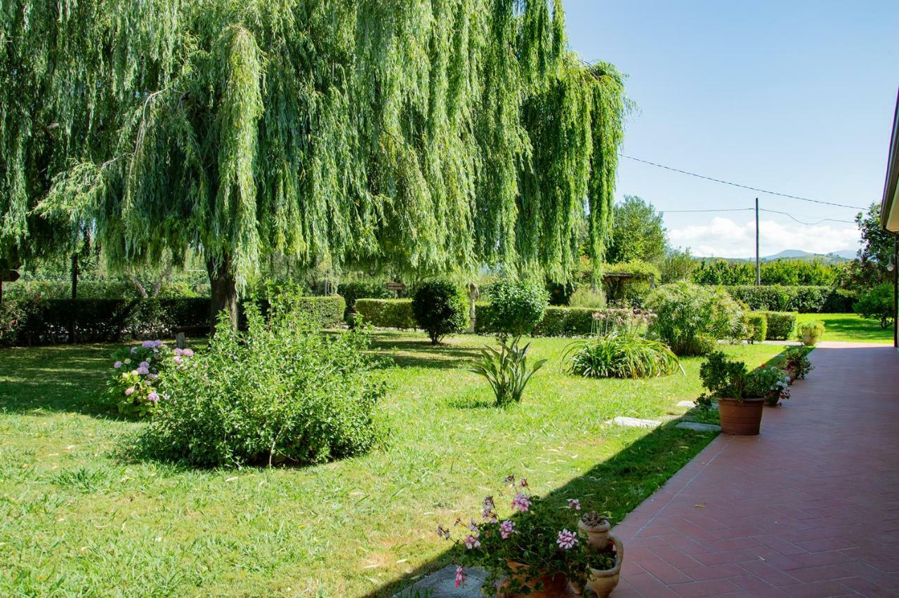Agriturismo Terra Di Elea Azienda Agricola Di Raimondo Michela Ascea Exteriör bild