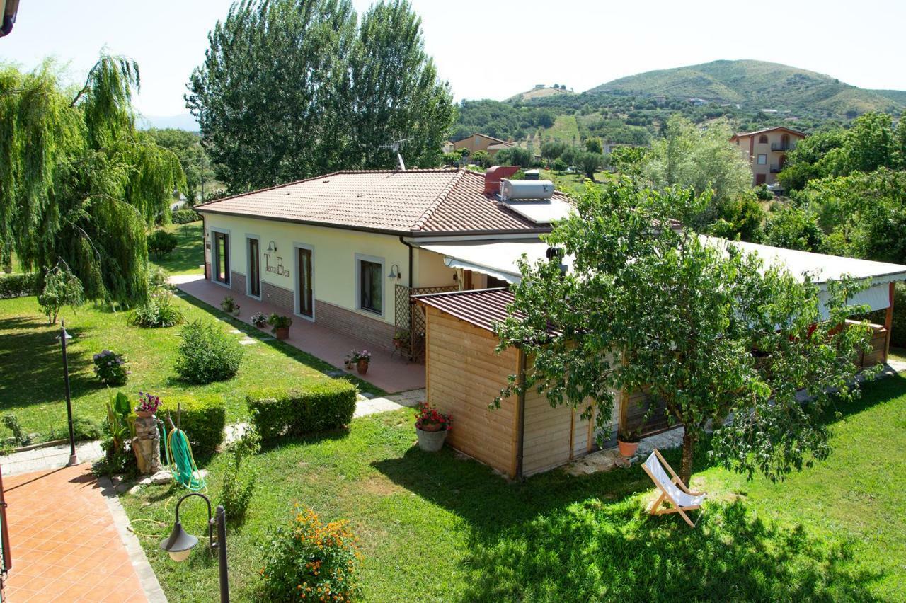Agriturismo Terra Di Elea Azienda Agricola Di Raimondo Michela Ascea Exteriör bild