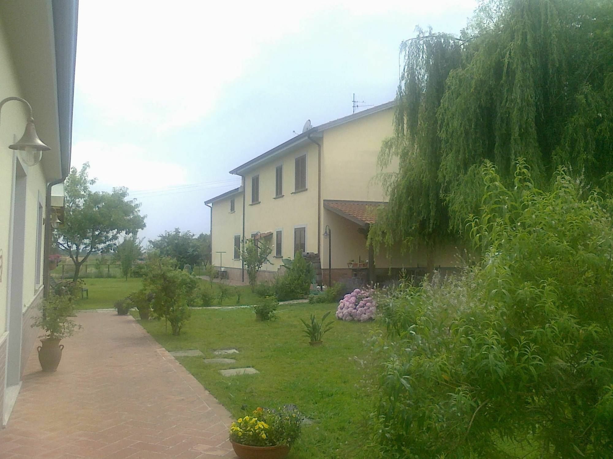 Agriturismo Terra Di Elea Azienda Agricola Di Raimondo Michela Ascea Exteriör bild